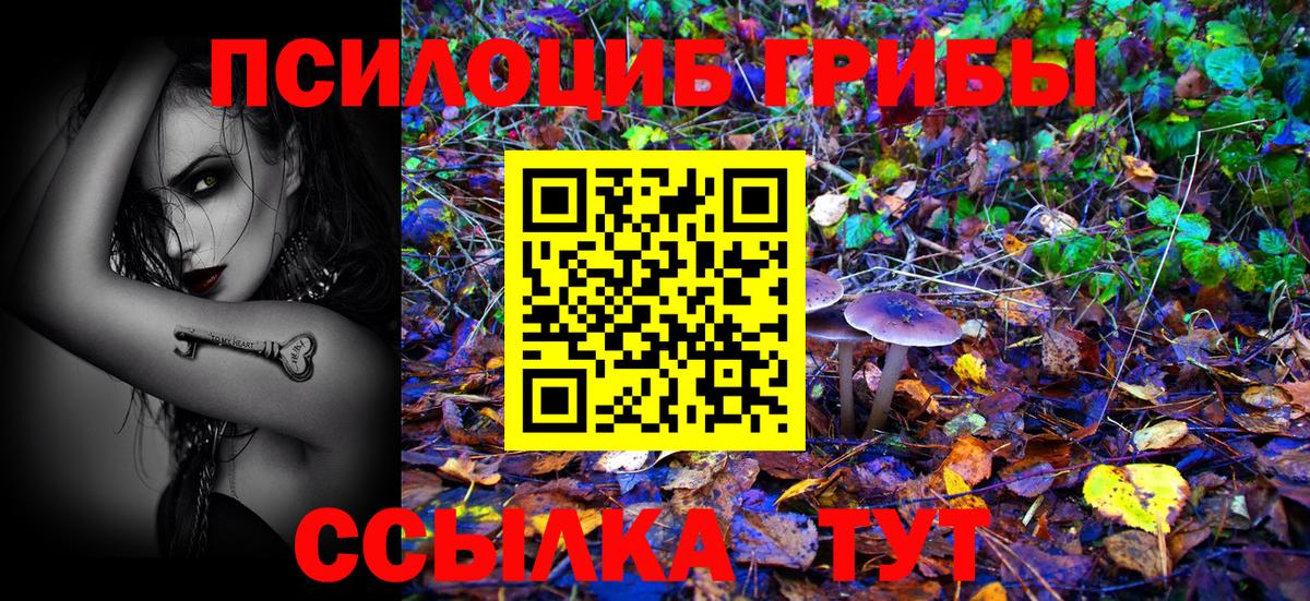 Псилоцибиновые грибы GOLDEN TEACHER Ногинск