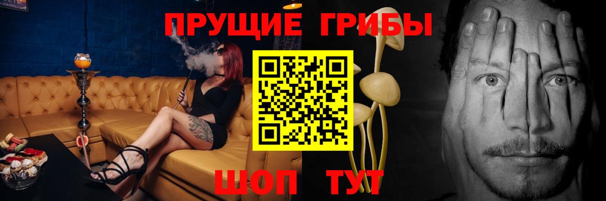 Псилоцибиновые грибы Psilocybine cubensis  Вход с VPN  Ногинск 